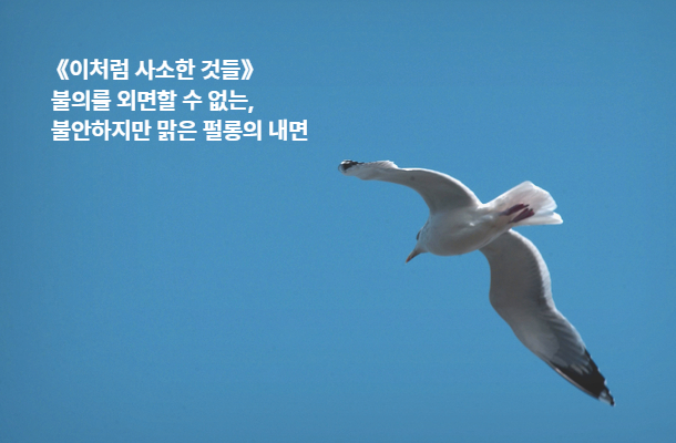 [2024.03 이달의 책] 《이처럼 사소한 것들》 불의를 외면할 수 없는, 불안하지만 맑은 펄롱의 내면